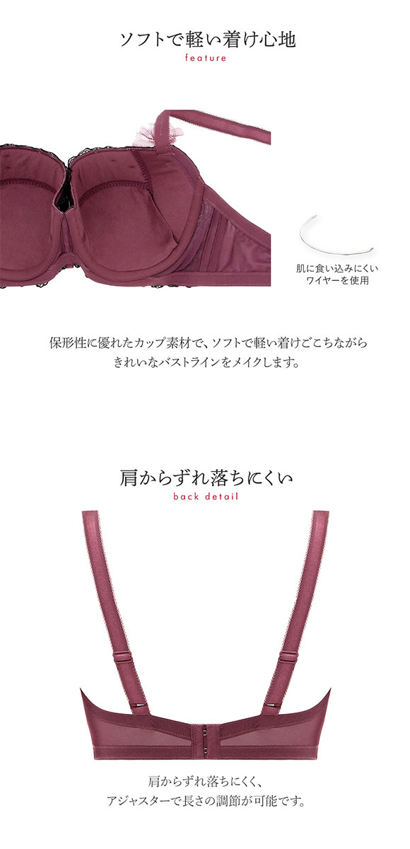 トリンプ Triumph TR0094 プレミアムデザイン レッドレーベル ブラジャー 大きいサイズ GH 単品