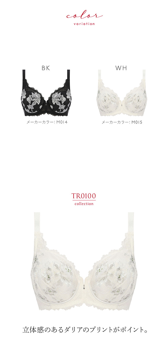トリンプ Triumph TR0100 プレミアム レッドレーベル フルカップブラジャー DEF 単品