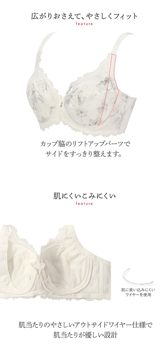 トリンプ Triumph TR0100 プレミアム レッドレーベル フルカップブラジャー DEF 単品