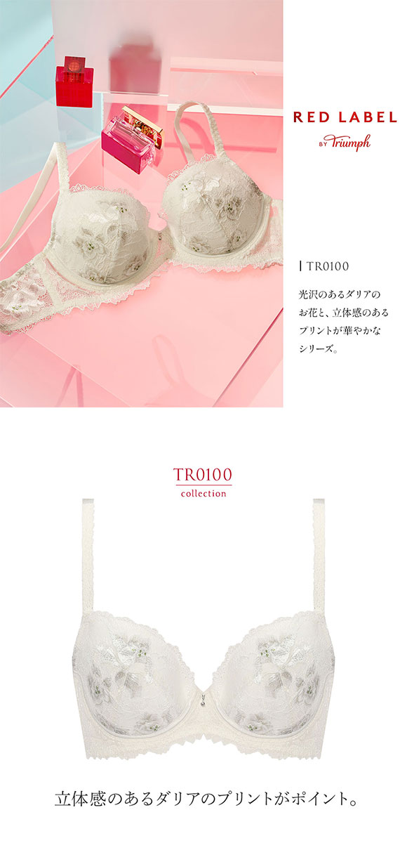 トリンプ Triumph TR0100 プレミアム レッドレーベル ブラジャー BC 単品