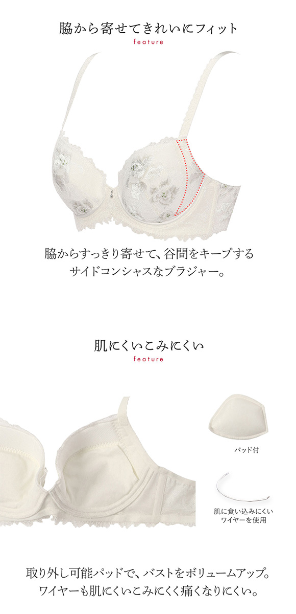 トリンプ Triumph TR0100 プレミアム レッドレーベル ブラジャー DE 単品