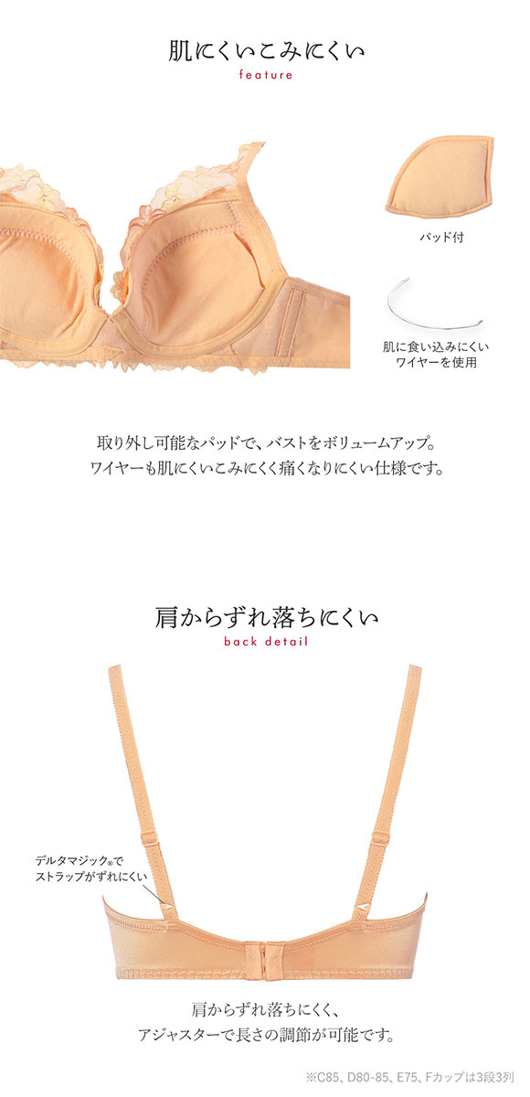 トリンプ Triumph TR0101 レッドレーベル バイ トリンプ ブラジャー DEF 単品