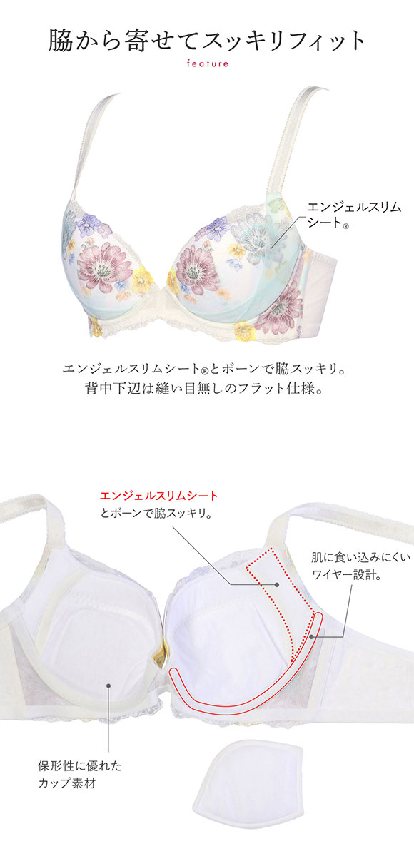 トリンプ Triumph TR0102 レッドレーベル バイ トリンプ 天使のブラ スリムライン ブラジャー BC 単品