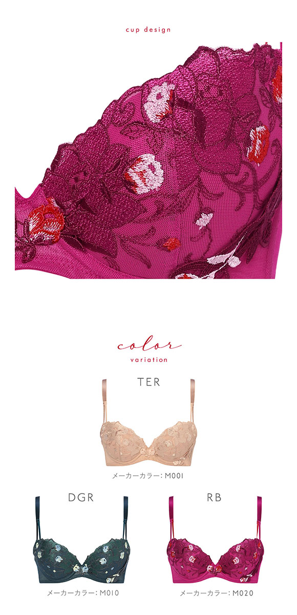 トリンプ Triumph TR0104 レッドレーベル バイ トリンプ ブラジャー BC 単品