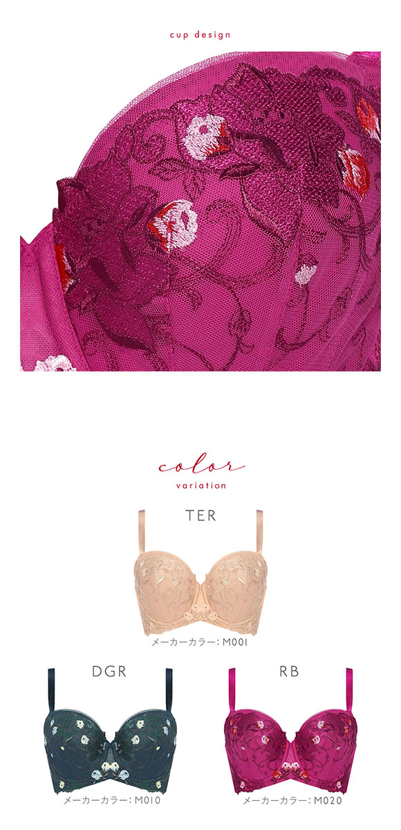 トリンプ Triumph TR0104 レッドレーベル バイ トリンプ ブラジャー GH グラマー 単品