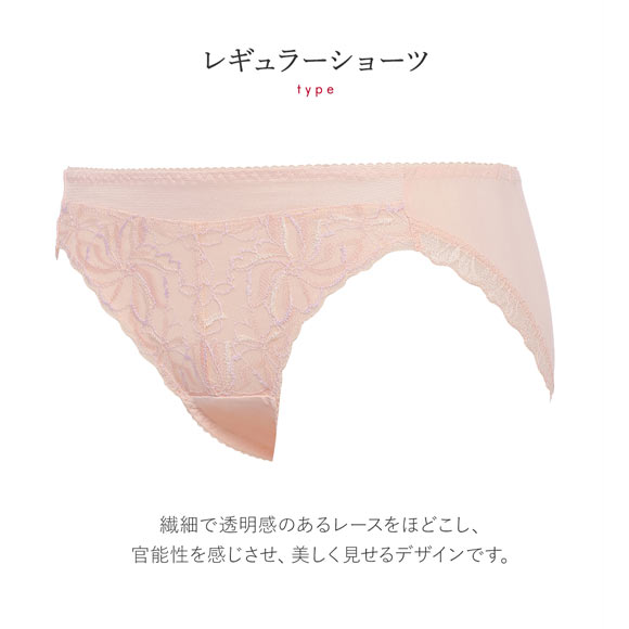 トリンプ Triumph TR582 天使のブラ スリムライン ショーツ スタンダード LL 単品