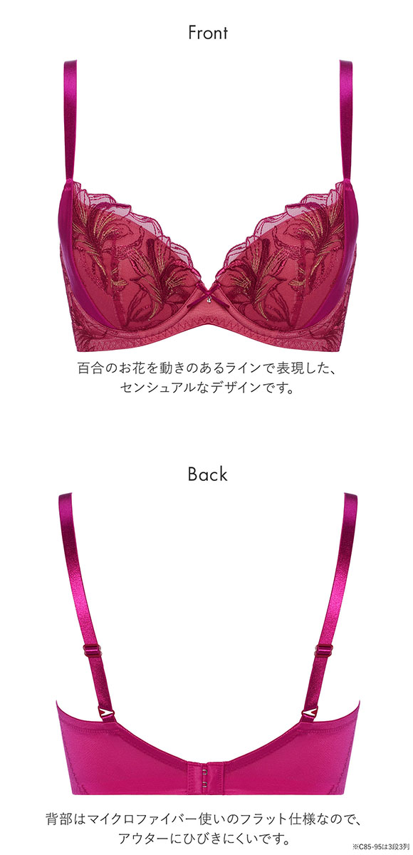 トリンプ Triumph TR584 天使のブラ スリムライン ブラジャー BC 単品