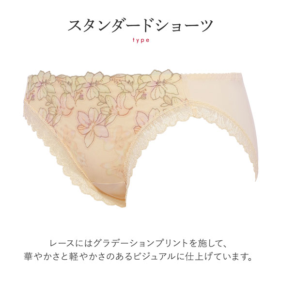 トリンプ Triumph TR596 天使のブラ 魔法のハリ感 ショーツ スタンダード レギュラー ノーマル ML 単品