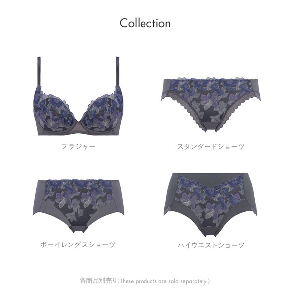 トリンプ Triumph TR596 天使のブラ 魔法のハリ感 ブラジャー DEF 単品