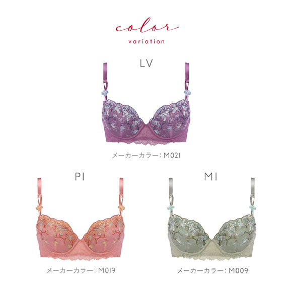 トリンプ Triumph TR0109 レッドレーベル バイ トリンプ ブラジャー BC 単品