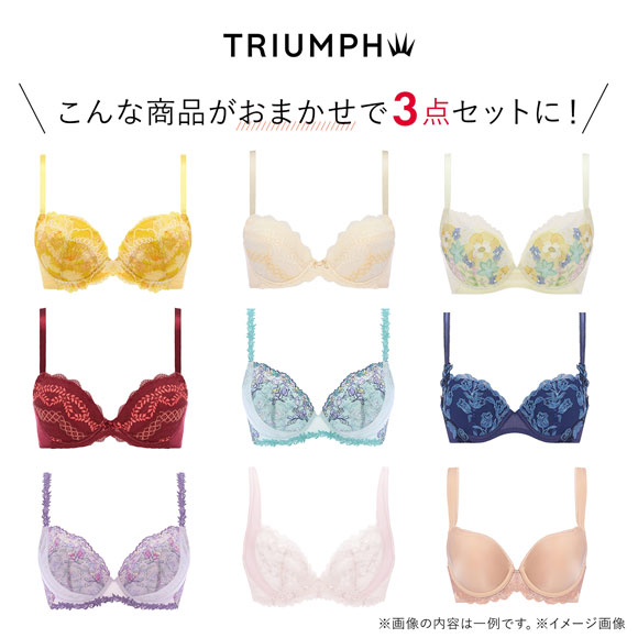 福袋 トリンプ 3P ブラジャー 3点セット インナー 下着 AG Triumph