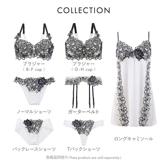 ドゥペルル DuePerle アイネ Tバックショーツ ML タンガ ソング ブラジリアン チーキー バックレース 総レース 単品