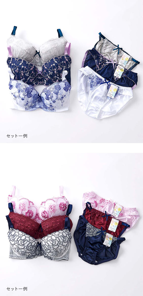 イーエスフェアリー ES Fairy 福袋 ブラジャー ショーツ 3点セット おまかせ ブラセット