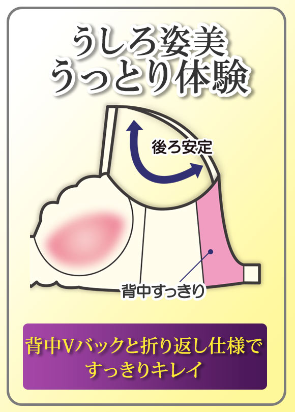 うしろ姿美 うっとり体験 すっきり美背中 ブラジャー ショーツ セット ABCD 脇高 脇肉 アンダー大きいサイズ グラマー 谷間 着やせ アンチエイジング