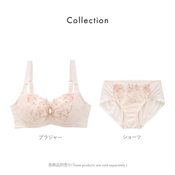 キレイ工房 美ラインホールドブラ ブラジャー BCDE 70-85 背中レース リフトアップ 背中すっきり 着やせ 段差 凸凹 KireiKoubou