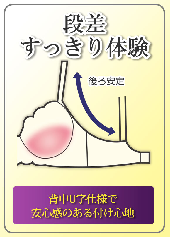 段差すっきり体験 ビューティローズ グラマーブラセット DEF70-90 アンダー大きいサイズ ブラジャー ショーツ セット 脇肉 脇高 お得