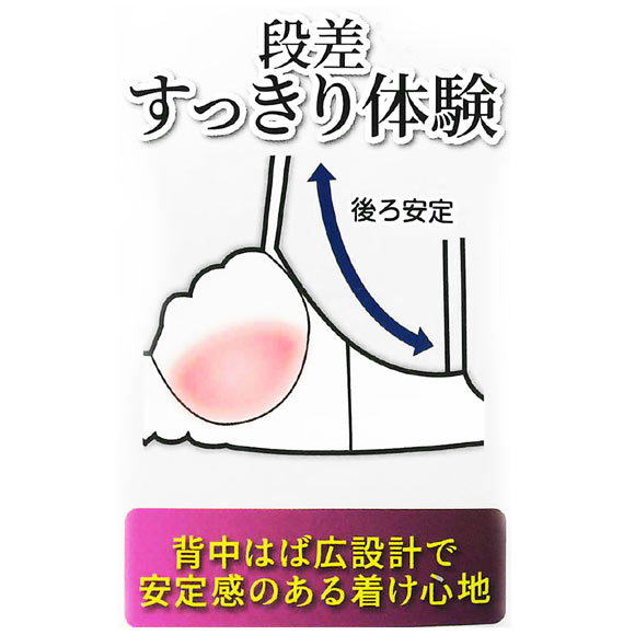 段差すっきり体験 クラシカルローズ グラマーブラセット DEF70-90 アンダアンダー大きいサイズ ブラジャー ショーツ セット