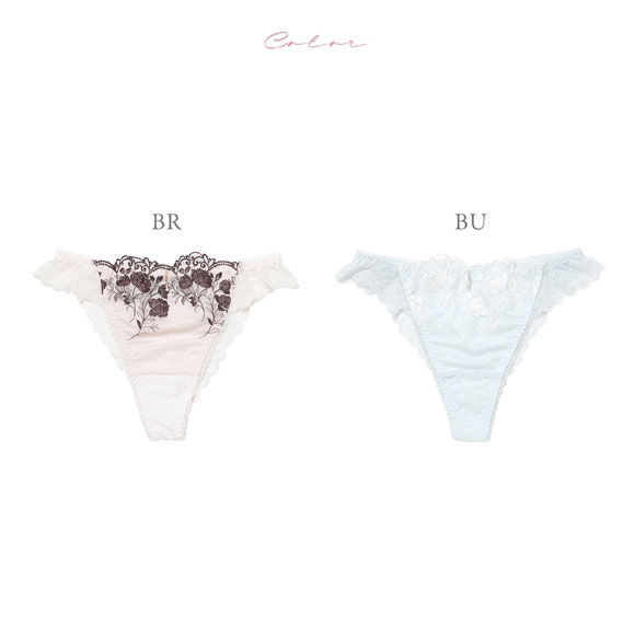 ナルエー ランジェリー シャルム Tバック ショーツ 総レース バックレース NARUE