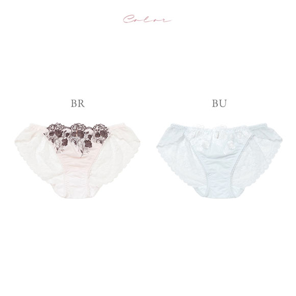 ナルエー ランジェリー シャルム バックレース ショーツ 総レース NARUE