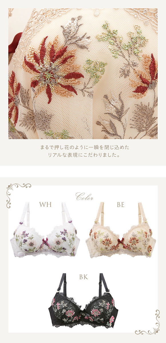 リサマリ Risa Magli レーヌ Reine フレデリカ ブラジャー EF 谷間ブラ 単品