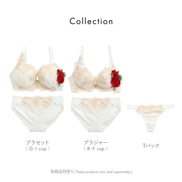 ビーオーエヌ bon 美胸 脇寄せ バストメイクブラ バラモチーフ シリーズ ショーツ Tバック M L LL 大きいサイズ 単品