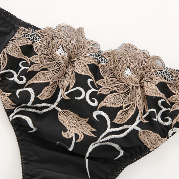 ビーオーエヌ 美胸 脇寄せ バストメイクブラ エレガンスローズ シリーズ ショーツ Tバック M L LL bon 大きいサイズ