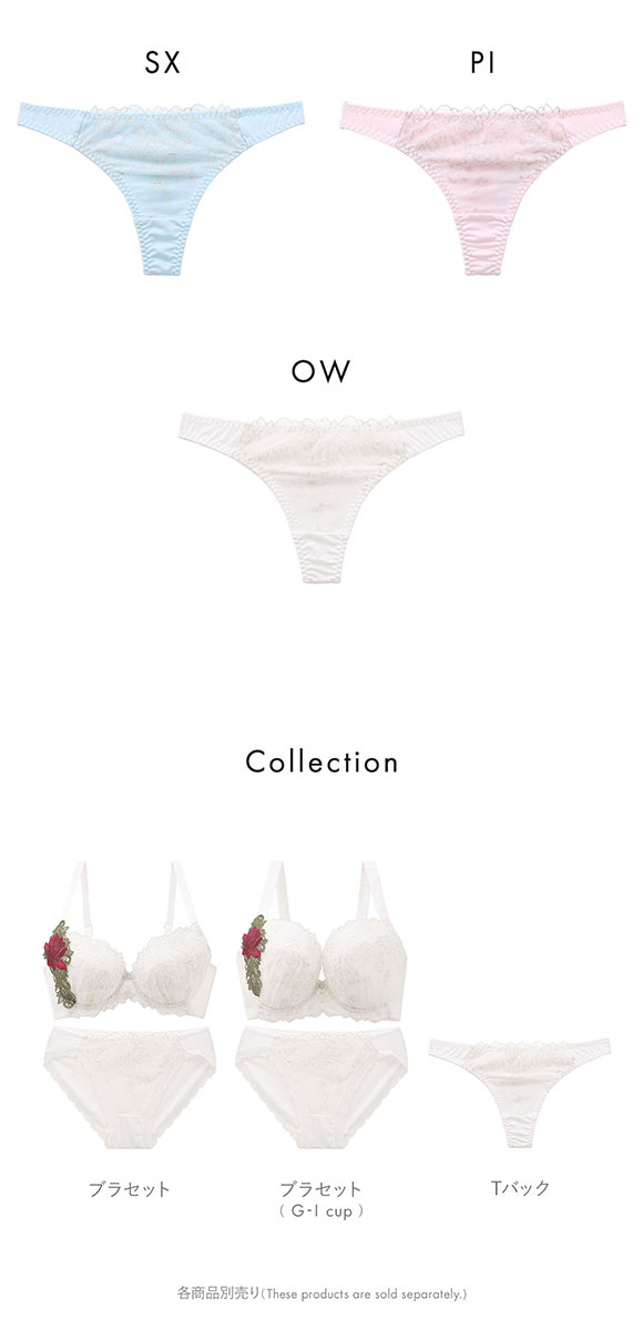 ビーオーエヌ 大輪のバラ シリーズ ショーツ Tバック M L LL 単品 大きいサイズ バックレース bon