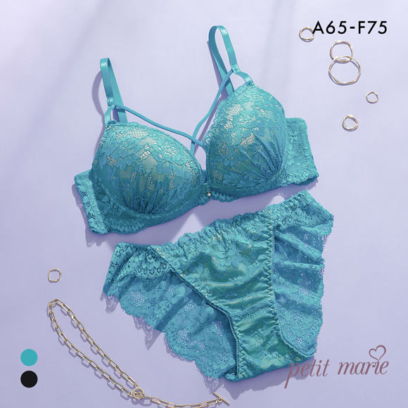 プチマリー シアーレースクロスコード ブラセット ABCDEF ブラジャー ショーツ セット 総レース バックレース petit marie BLACK
