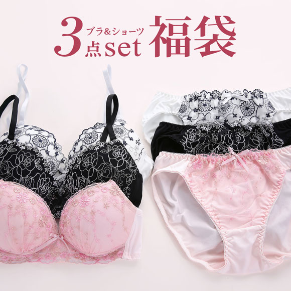 パリーゼ Palissee 福袋 ノンワイヤー ブラジャー ショーツ セット 3点セット おまかせ 刺繍レース M L LL
