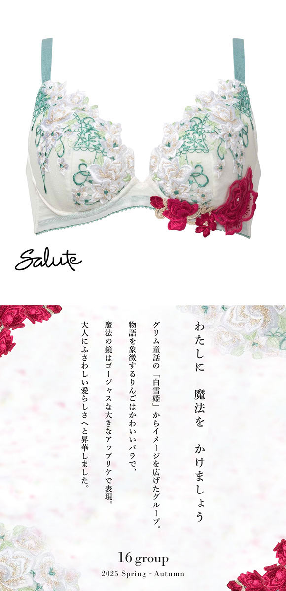 ワコール サルート 16グループ 16G 小さく見せるブラ EF ブラジャー フルカップ 大きいサイズ Wacoal Salute BTJ216 25SSシーズン