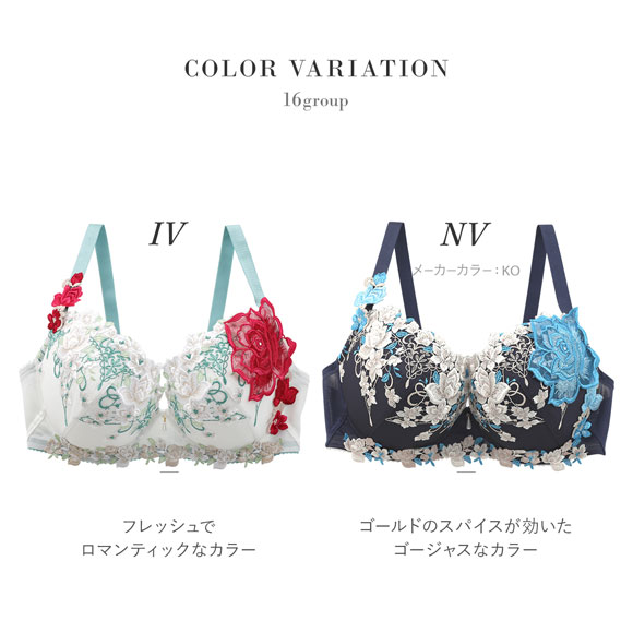 ワコール サルート 16グループ 16G 小さく見せるブラ GH ブラジャー フルカップ 大きいサイズ Wacoal Salute BTJ216 25SSシーズン