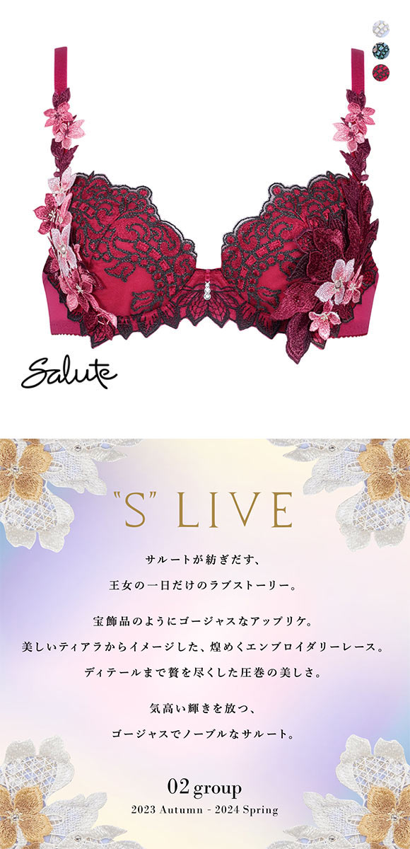 ワコール Wacoal サルート Salute 24SS先行 02G BTJ402 P-UP ブラジャー GHI プッシュアップ 単品 プレステージ