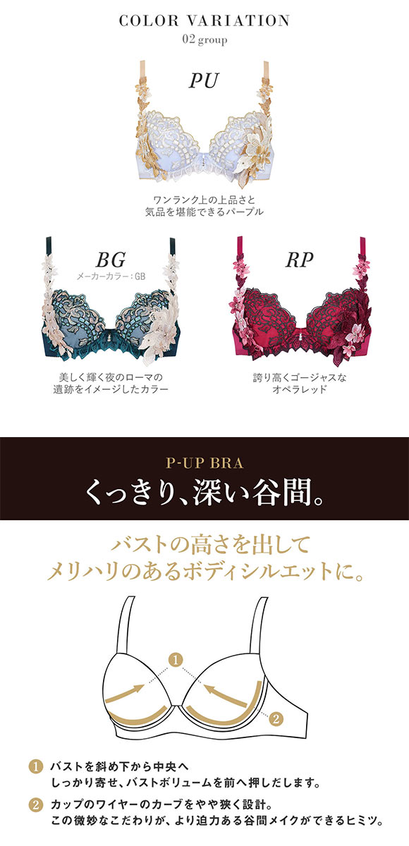 ワコール Wacoal サルート Salute 24SS先行 02G BTJ402 P-UP ブラジャー GHI プッシュアップ 単品 プレステージ