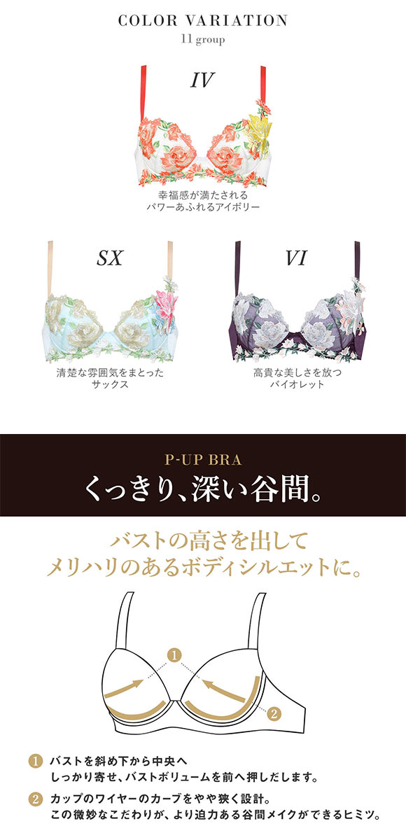 ワコール Wacoal サルート Salute 11G BTJ411 P-UP ブラジャー BC プッシュアップ 谷間 単品 24AW先行 コア