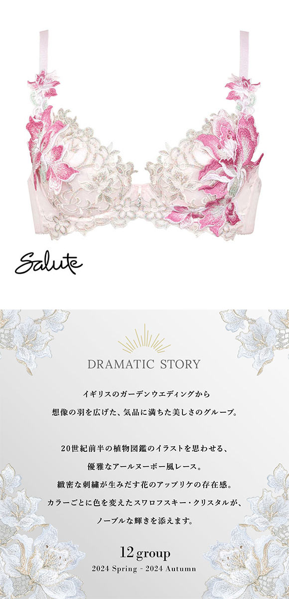 ワコール Wacoal サルート Salute 12G BTJ412 P-UP ブラジャー DEF プッシュアップ 谷間 単品 24AW先行 プレステージ