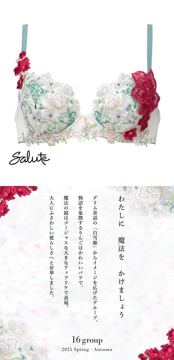 ワコール サルート 16グループ 16G P-UP ブラジャー プッシュアップ BC 谷間 Wacoal Salute BTJ416 25SSシーズン
