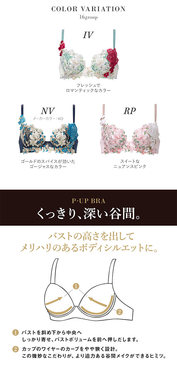 ワコール サルート 16グループ 16G P-UP ブラジャー プッシュアップ DEF 谷間 大きいサイズ Wacoal Salute BTJ416 25SSシーズン