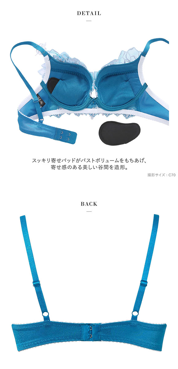 ワコール サルート 17グループ 17G VIVA LINE ブラジャー BC ビバライン 谷間 Wacoal Salute BTJ417 25SSブルーム