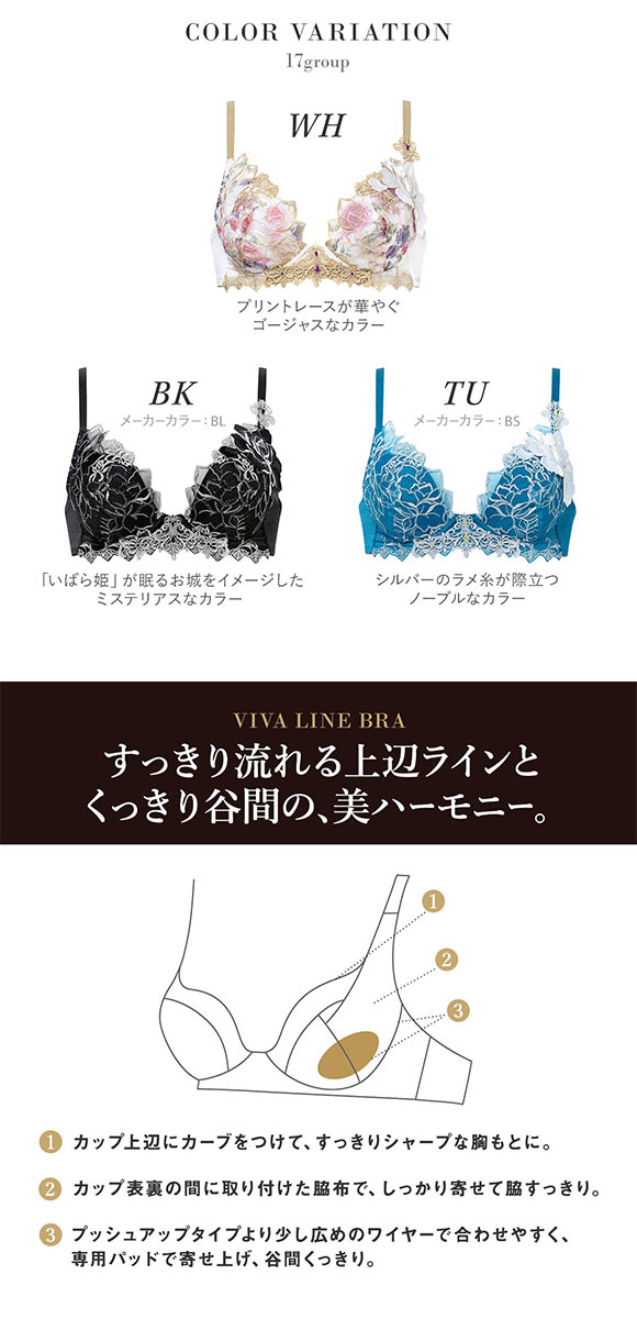 ワコール サルート 17グループ 17G VIVA LINE ブラジャー DEF ビバライン 谷間 Wacoal Salute BTJ417 25SSブルーム