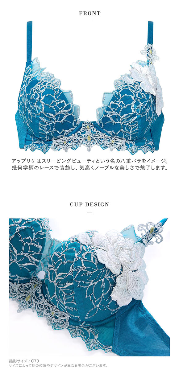 ワコール サルート 17グループ 17G VIVA LINE ブラジャー G ビバライン 谷間 Wacoal Salute BTJ417 25SSブルーム