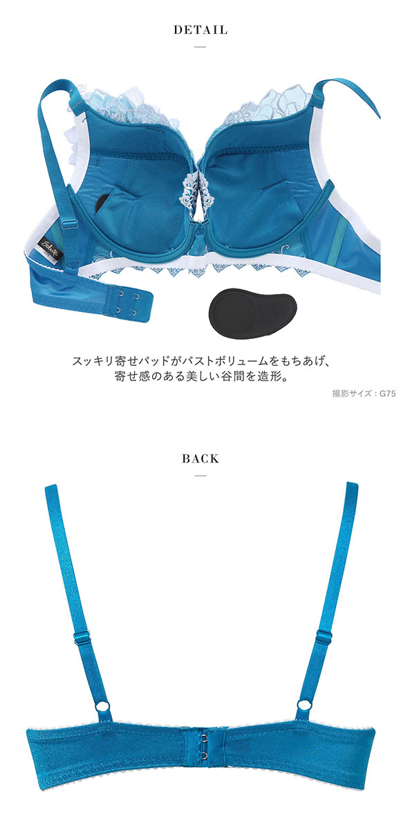 ワコール サルート 17グループ 17G VIVA LINE ブラジャー G ビバライン 谷間 Wacoal Salute BTJ417 25SSブルーム