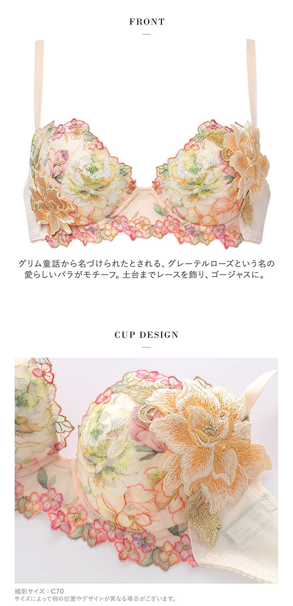 ワコール サルート 21グループ 21G P-UP ブラジャー プッシュアップ GHI 大きいサイズ 谷間 Wacoal Salute BTJ421 25AW先行コア