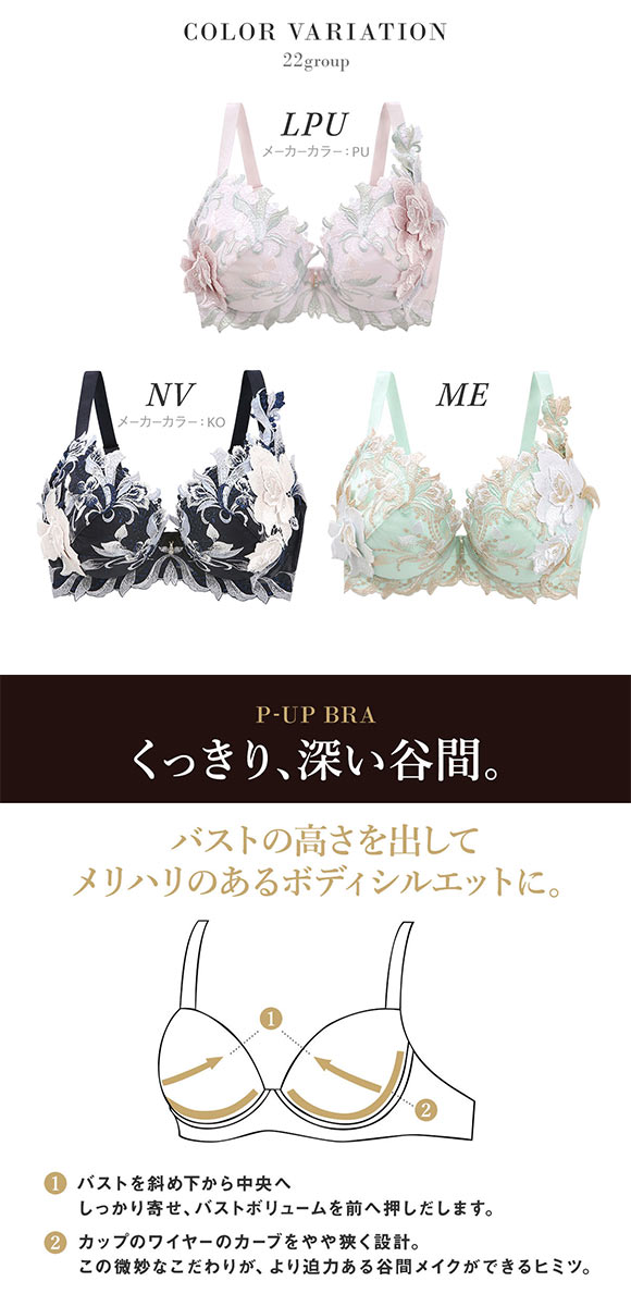 ワコール サルート 22グループ 22G P-UP ブラジャー GHI プッシュアップ 谷間 Wacoal Salute BTJ422 25AW先行プレステージ