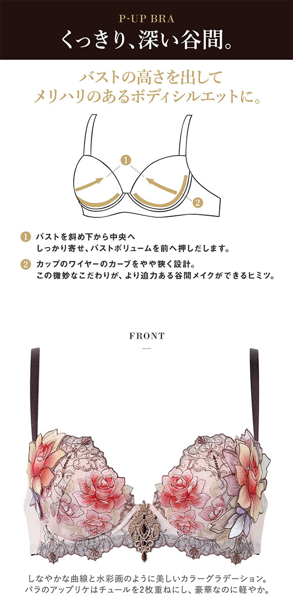 ワコール サルート 23グループ 23G P-UP ブラジャー DEF プッシュアップ 谷間 大きいサイズ Wacoal Salute BTJ423 25AWフェア