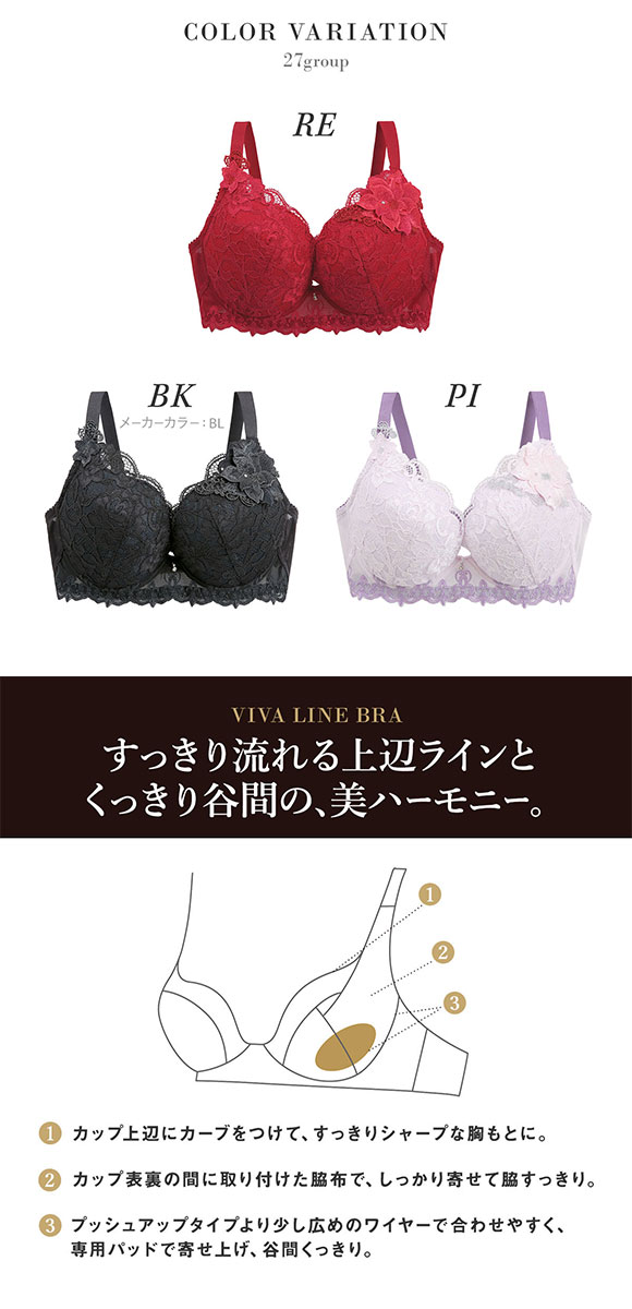 ワコール サルート 27グループ 27G VIVA LINE ブラジャー G ビバライン 谷間 Wacoal Salute BTJ427 25AWブルーム 大きいサイズ