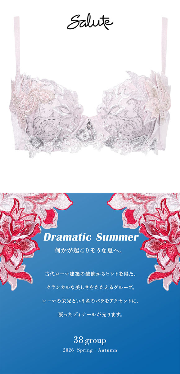 ワコール サルート 38グループ 38G P-UP ブラジャー プッシュアップ BC 谷間 Wacoal Salute BTJ438 26SSブライト