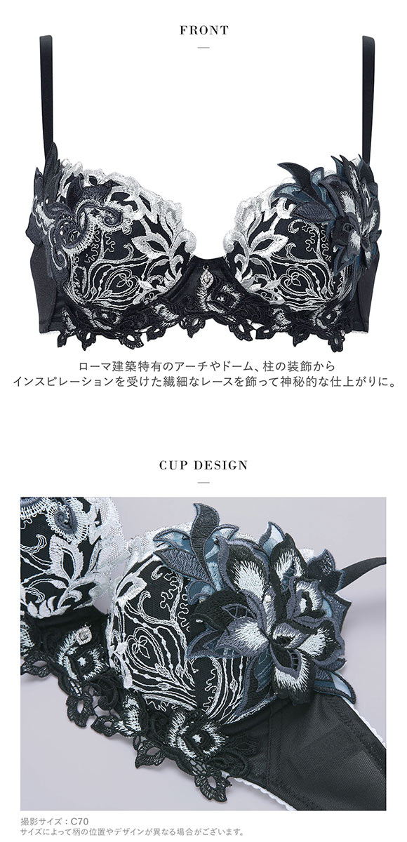 ワコール サルート 38グループ 38G P-UP ブラジャー プッシュアップ BC 谷間 Wacoal Salute BTJ438 26SSブライト