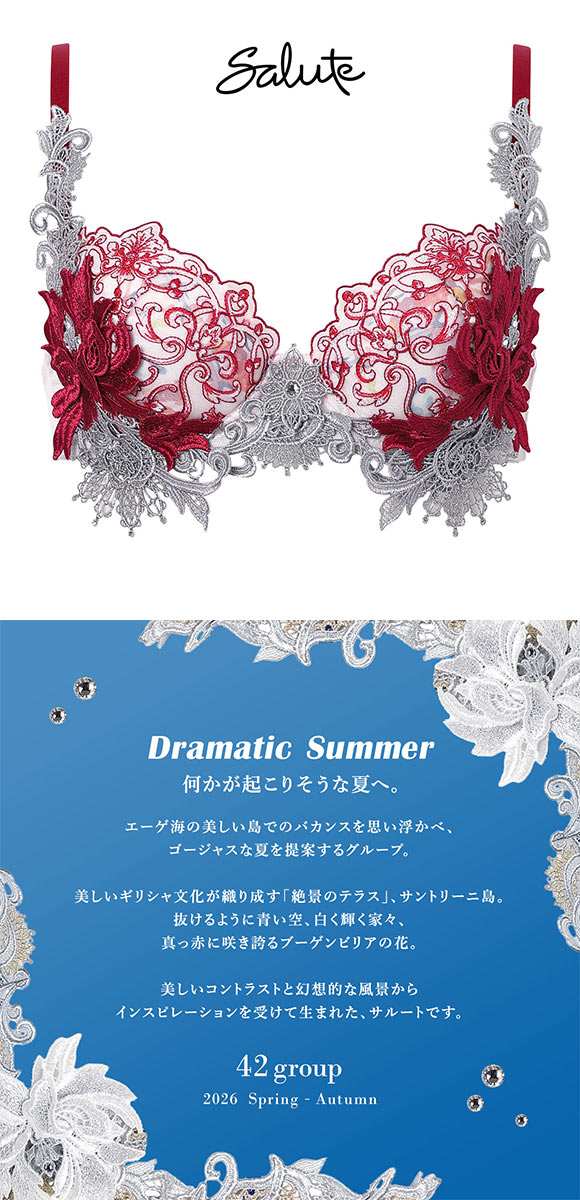 ワコール サルート 42グループ 42G P-UP ブラジャー DEF プッシュアップ 谷間 BTJ442 下着 Wacoal Salute 26AW先行プレステージ