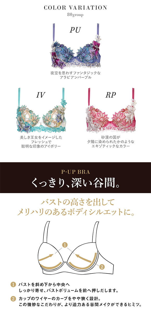 ワコール サルート 80グループ 80G P-UP ブラジャー DEF プッシュアップ Wacoal Salute BTJ480 25SS先行プレステージ