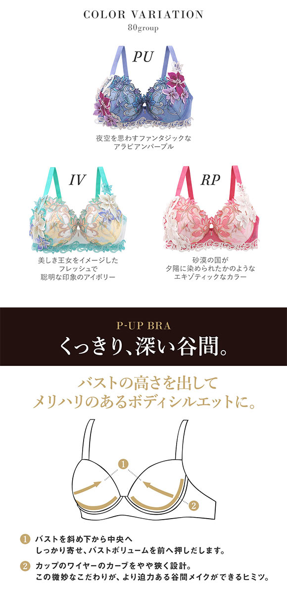 ワコール サルート 80グループ 80G P-UP ブラジャー GHI プッシュアップ Wacoal Salute BTJ480 25SS先行プレステージ